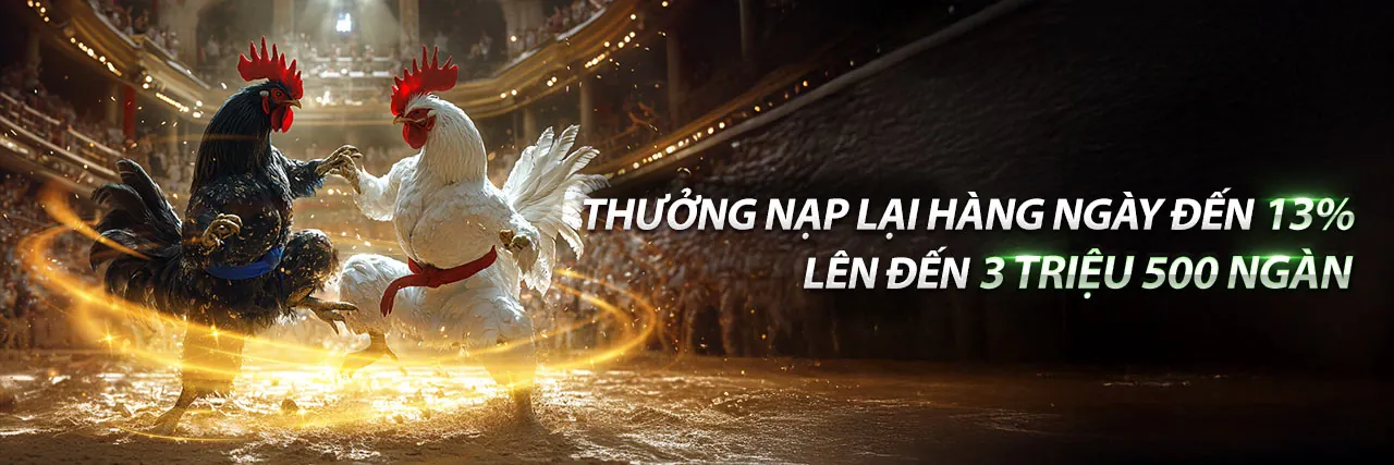 Sân đấu đá gà trực tuyến sôi động tại Lu88