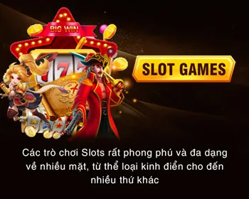 Cá cược thể thao lu88